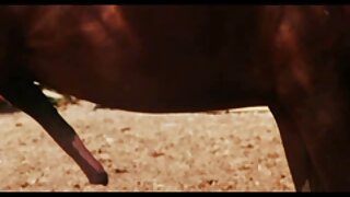 دانلود فیلم و سریال سکسی